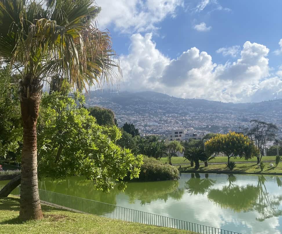 Morning coffee view over Funchal, Madeira